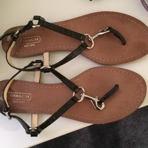 Coach sandals